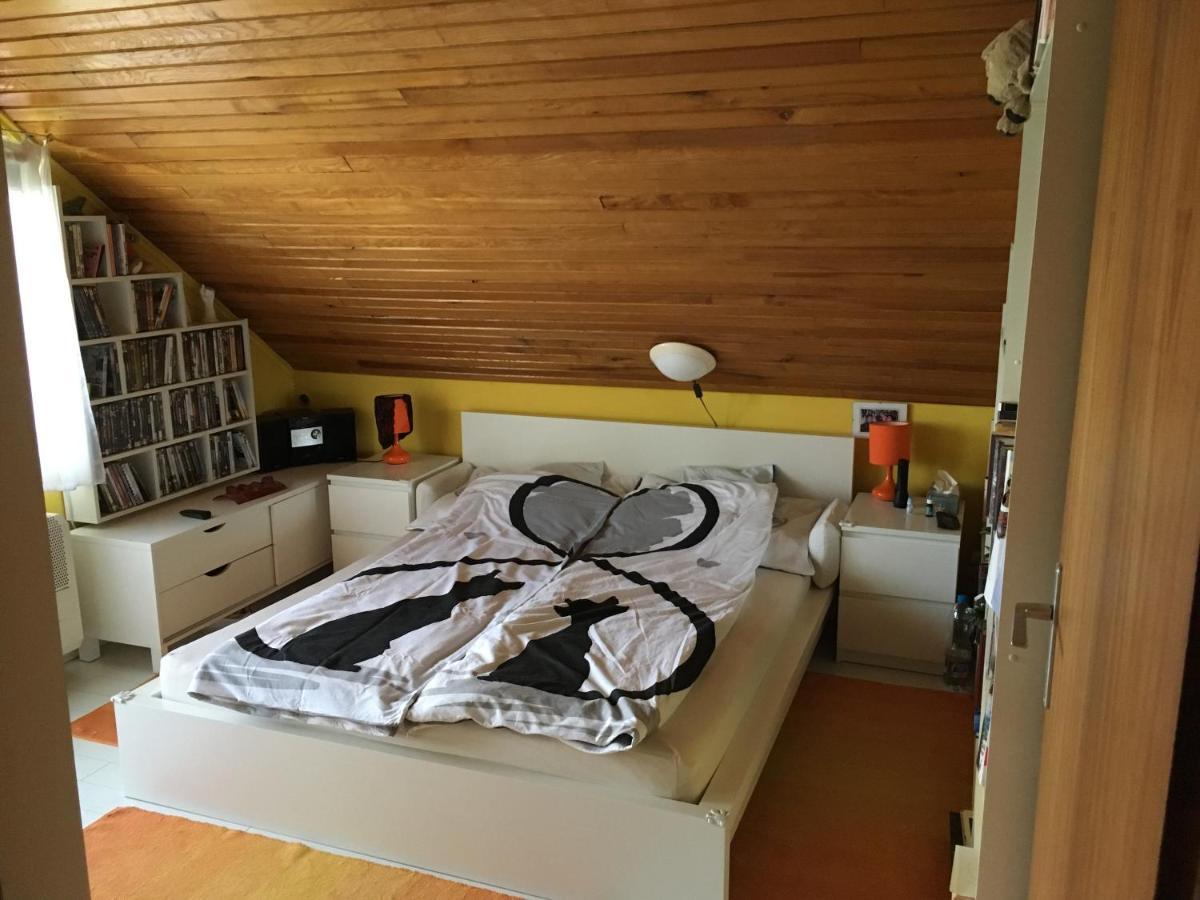 Aktiv Pihenes Apartman Révfülöp エクステリア 写真